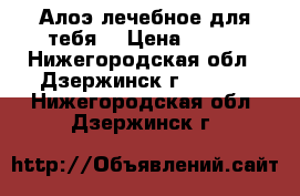 Алоэ лечебное для тебя. › Цена ­ 250 - Нижегородская обл., Дзержинск г.  »    . Нижегородская обл.,Дзержинск г.